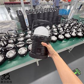 FW6330大号12W应急照明工作灯装卸灯
