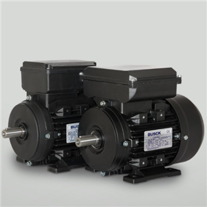 进口正品Busck电动机蜗轮蜗杆变速箱