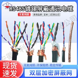 RS485-22耐火300度双芯通讯电缆NH-‌RS485直流120V
