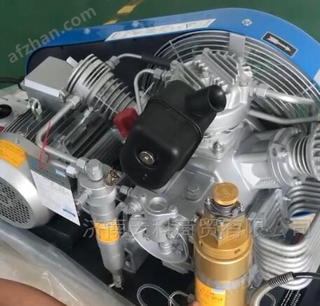 Baohua BAUER300-TE Air Breathing Inflator Pump Two Inflator Head Air Compressor