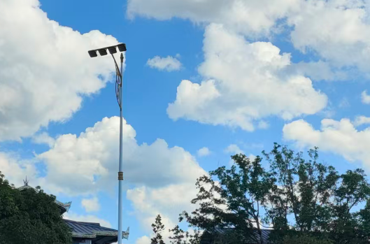 济宁金乡：“自助体检+智能换证”一站式办结