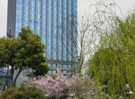 专家解读 | 用好市场机制加快数据产权登记落地实践