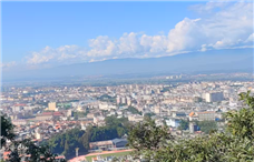 �㽭9����Ŀ��ѡ2025�������������в�Ʒ�ͷ�����Ͱ���