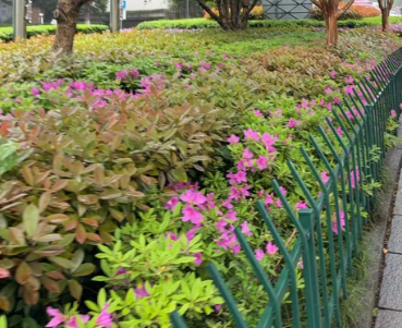 海口市人民政府与中科曙光签署战略合作协议