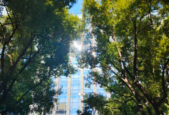 首个国家级“智能体”应用发展政策出台