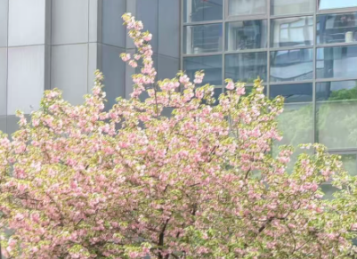 叶建春主持召开江西省发展数字经济领导小组会议
