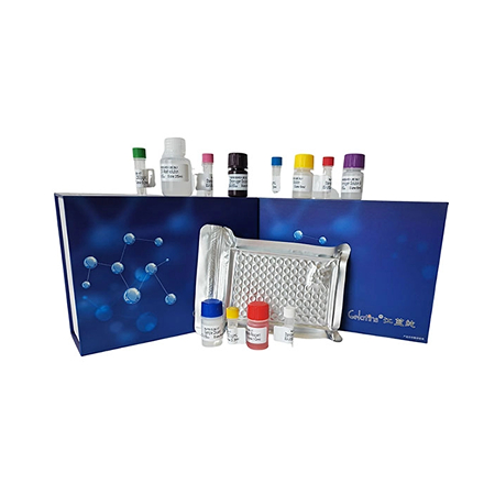 上海晶抗生物猴Ⅲ型前膠原肽P亞NP(PⅢNP)ELISA試劑盒實驗原理