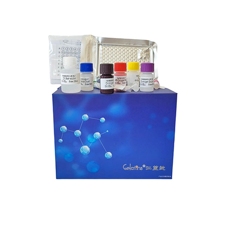 上海晶抗生物牛白介素12B(IL12B)试剂盒实验原理